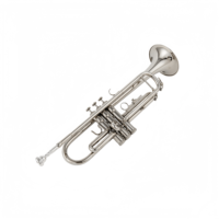 Brass Nickel Plated Finish Rust Resistant BB Tone Trumpet with 3-Piston Stainless Steel Valves for Beginners to Professionals