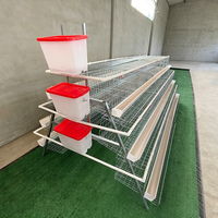 Cage à poules pondeuses à batterie de type A, 4 niveaux, pour 500 poules, pour élevage avicole, à vendre