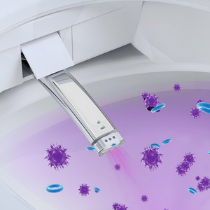 Nouvelle toilette intelligente de luxe à nettoyage automatique, <span class=keywords><strong>WC</strong></span> mural intelligent avec télécommande - Product Image 5