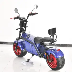 Eec 2 Wheels Vintage Classic Long Range 90Km Top Speed 65Km/H Vesp Electric Scooter