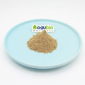 Yüksek saflıkta saf doğal sarımsak özü <span class=keywords><strong>5</strong></span>:1 toplu sarımsak özü tozu - Product Image 1