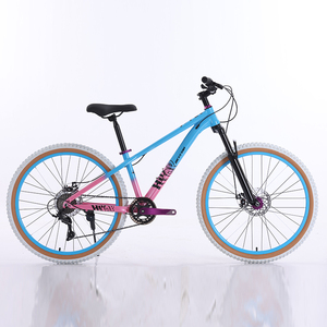 Bicicleta de Montaña de Titanio Rueda de <span class=keywords><strong>24</strong></span> Pulgadas <span class=keywords><strong>Aro</strong></span> 29 MTB de 29 Pulgadas con Suspensión Completa - Product Image 1