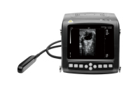 Appareil de thérapie par ultrasons numérique complet, mode B, appareil d'échographie médicale, diagnostic KX5200 VET, instruments vétérinaires