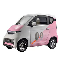 Voiture électrique mini EV fermée pour adultes, deux portes, trois places, 1000W, sans permis, quatre roues, 45 km/h, très vendue