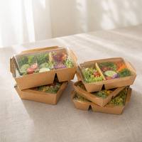 Boîte à emporter rectangulaire en papier kraft pour fruits, boîte à lunch bento, boîte d'emballage pour salade avec couvercles transparents en PET