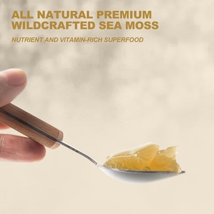 OEM 525G Sea Moss Gel Original Sabor Irlandés Seamoss Gel Inmune y Digestivo Soporte Vitamina Mineral Antioxidante Suplementos - Product Image 5