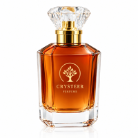 Flacons de parfum en verre élégants et durables de 30 ml/50 ml/100 ml, récipients vides pour les parfums et l'emballage de diffuseurs