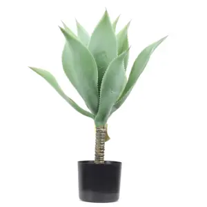 Plante artificielle naturelle et colorée, bonsaï Agave Potatorum <span class=keywords><strong>Variegata</strong></span> - Product Image 1