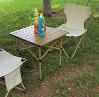 Table pliable en fer ultralégère Portable pour une utilisation en extérieur haute résistance plage pique-nique randonnée Camping sac lesté meubles d'intérieur