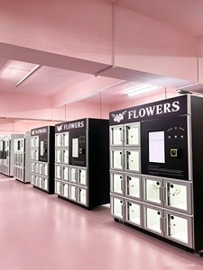 Distributore Automatico Refrigerato per Fiori - Macchina Distributrice Commerciale per Fiori - Product Image 6