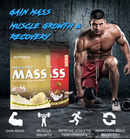 Poudre de protéines pour la prise de masse, formule personnalisée OEM Flavor Tech, compléments sportifs, développement musculaire, pré-entraînement, adulte, Nutrtech