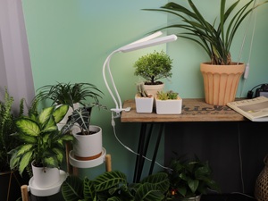 J & C LED Full Spectrum Clip nhà máy phát triển đèn cho các nhà máy trong nhà, cổ ngỗng Chùm tia góc có thể điều chỉnh - Product Image 4