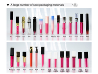 Rouge à lèvres liquide imperméable végétalien de haute qualité avec logo personnalisé Tubes de brillant à lèvres vides non collants Lumière LED Brillant à lèvres avec miroir
