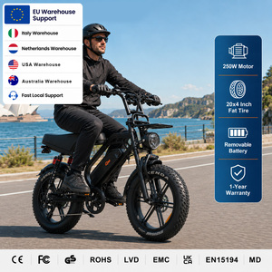 QMHEEL V20Limited 48V Electric City Bike Lithium <b>Battery</b> bici elettrica fat tire Ebike rear seat Italy EU Warehouse Stock B2B - Product Image 1