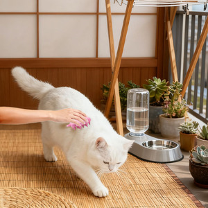 Masseur en silicone de qualité alimentaire, outil de toilettage pour animaux de compagnie, <span class=keywords><strong>brosse</strong></span> de nettoyage pour le bain des chiens, en stock pour les petits animaux, fournitures de bain et de toilette - Product Image 5