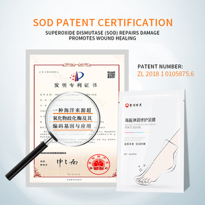 <span class=keywords><strong>Soin</strong></span> <span class=keywords><strong>des</strong></span> <span class=keywords><strong>pieds</strong></span> Masque hydratant pour les <span class=keywords><strong>pieds</strong></span> exfoliant nourrissant à l'aloe vera niacinamide - Product Image 3