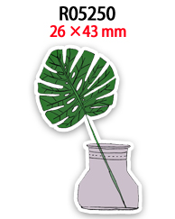 R05250