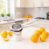 Keuken Fruitprocessor Kleine roestvrijstalen citroenpers Citruspers Oranje limoenpers Ergonomisch siliconen handvat Veilig
