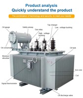 Transformateurs de distribution industriels triphasés immergés dans l'huile de haute qualité 11KV 33KV 100KVA 300KVA 400KVA 1600KVA