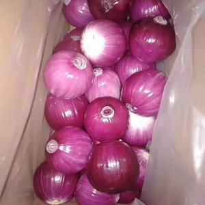 Xuất Xứ Trung Quốc Tươi Hành Tây Top Grade Tươi Màu Đỏ Hành Tây Tươi Thu hoạch Hành Tây Cho Doanh Nghiệp Xuất Khẩu - Product Image 1