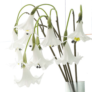 YOPIN-7858 Flor Artificial de Datura <span class=keywords><strong>Stramonium</strong></span> Blanca de Alta Calidad con 2 Cabezas, Tacto Real, de PU, para Centro de Mesa, Decoración de Bodas - Product Image 1