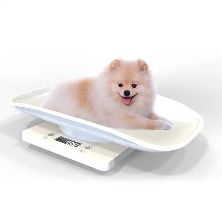 10kg Neonato Cucciolo di Cane Pet Scala Amazon Vendita Calda Portatile Mini Bilancia Da Banco di Precisione