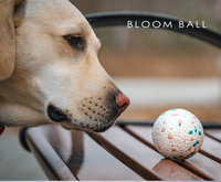 Jouet à mâcher pour chien en ETPU solide et durable, léger, résistant aux morsures, balle en caoutchouc indestructible, durable pour le jeu, emballé dans un sac