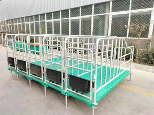 Jaulas de Paridera Galvanizadas de Doble Uso para Cerdas, Corrales de Cría, Equipo de Ganadería - Product Image 2