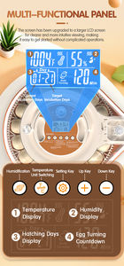 <span class=keywords><strong>2026</strong></span> नई आई आई आई नियंत्रक 26 चिकन क्विल तोते अंडे के इनक्यूबेटर की कीमत छोटे अंडे इनक्यूबेटर 30 अंडे - Product Image 3