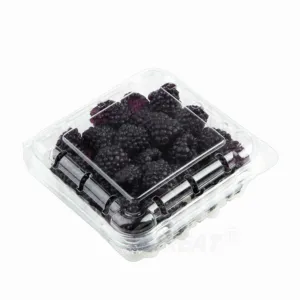 블루 베리 체리 딸기 과일 BOX 용 블리스 터 포장 투명 플라스틱 조개 껍질 식품 용기