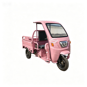 Dual Row Seats Electric Tricycle Battery Powered Family <b>Transport</b> Trike For Daily Travel - Product Image 2