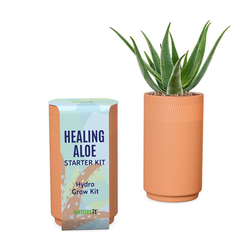 Aloe Vera Hydroponic Grow Kit - Terracotta Fertilizer-to-plant