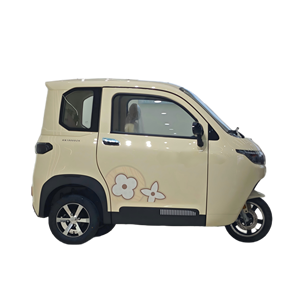 <span class=keywords><strong>Scooter</strong></span> de mobilité fermé - L2e certifié EEC COC, mini voiture <span class=keywords><strong>électrique</strong></span> à cabine, <span class=keywords><strong>3</strong></span> <span class=keywords><strong>roues</strong></span> pour adultes ou jeunes hommes <span class=keywords><strong>sans</strong></span> <span class=keywords><strong>permis</strong></span> de conduire - Product Image 3
