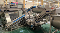 Industriële apparatuur en machines voor de verwerking van fruit en groenten
