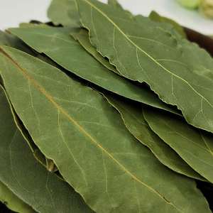 Huaou Vente en gros de feuilles de <span class=keywords><strong>laurier</strong></span>, herbes et épices individuelles, feuilles de <span class=keywords><strong>laurier</strong></span> séchées à bas <span class=keywords><strong>prix</strong></span>, feuilles de <span class=keywords><strong>laurier</strong></span> vertes - Product Image 6