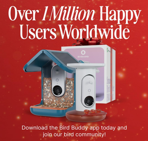 Caméra de mangeoire à <span class=keywords><strong>oiseaux</strong></span> intelligente 2026, style tendance, identification des espèces d'<span class=keywords><strong>oiseaux</strong></span> par IA, photo 5MP, vidéo 2K HD, diffusion en direct, vidéo au ralenti - Product Image 5