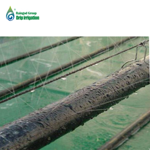 Tuyau d'irrigation agricole plat à micro-pulvérisation pour système <span class=keywords><strong>goutte</strong></span>-à-<span class=keywords><strong>goutte</strong></span>, tube de pulvérisation résistant aux UV, tuyau de pluie pour système d'irrigation - Product Image 6
