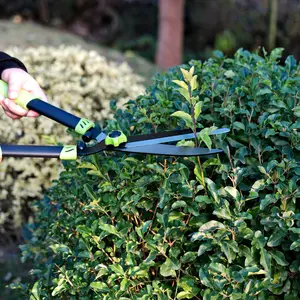 Tijeras profesionales de podar bonsái para el hogar, mango largo, borde recto, jardín, oveja, cerca de árbol, tijeras para cortar setos