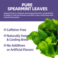 Sachets de thé aux feuilles de menthe verte pure naturelle, directement de l'usine, 1,5 g x 20 sachets, Mentha Spicata, tisane pour éliminer la chaleur et soulager les coups de chaleur