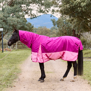 รักษาความเย็นให้ม้าด้วยพรมน้ำหนักเบาในฤดูร้อนเหล่านี้ผลิตมาเพื่อความสบายในช่วงเวลาที่ยาวนานท่ามกลางแสงแดด - Product Image 3