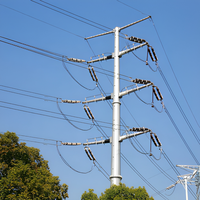 Poste de Acero Octagonal Cónico Galvanizado en Caliente, Confiable, para Programas de Electrificación Rural en Áreas Remotas