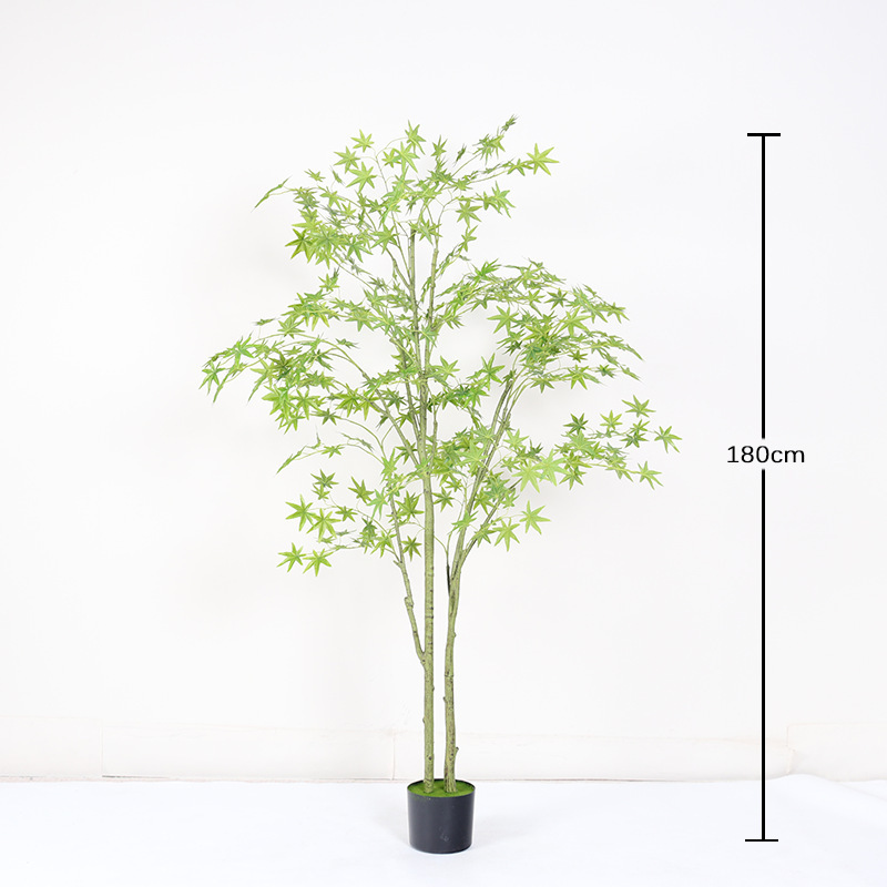 180cm