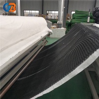 Géomembrane Triplanaire en HDPE pour la Stabilisation des Sols et les Systèmes de Drainage – Approvisionnement Direct Usine