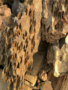 Pierre de dragon peau de <span class=keywords><strong>tigre</strong></span> pour aquarium, 8-15 cm, 15-25 cm, pour aquarium, <span class=keywords><strong>à</strong></span> <span class=keywords><strong>vendre</strong></span> - Product Image 6