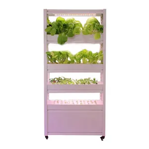 Urban farm with 4-layer nutrient solution internal circulation hydroponic growing systems