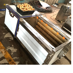 Venta caliente gran capacidad Industrial de Taro de yuca de zanahoria de coco lavadora máquina de <span class=keywords><strong>pelar</strong></span> - Product Image 5