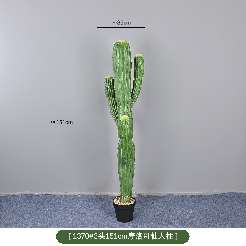 1370 #150cm de tres cabezas de columna inmortal marroqui