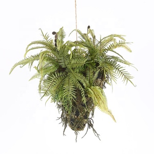 En gros fougère artificielle herbe suspendue décorative de mur vert plante - Product Image 5