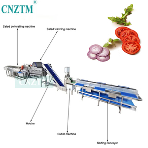 Ligne d'équipement automatique de découpe, <span class=keywords><strong>lavage</strong></span> et séchage de fruits et légumes, machines de transformation de fruits et légumes, capacité de 500 kg/h - Product Image 5