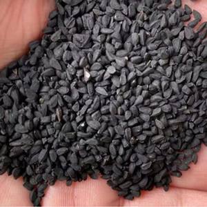 Оптовая продажа, Прямая поставка, семена черного семени, необработанный сушеный стиль с процессом сушки Ad - Product Image 3